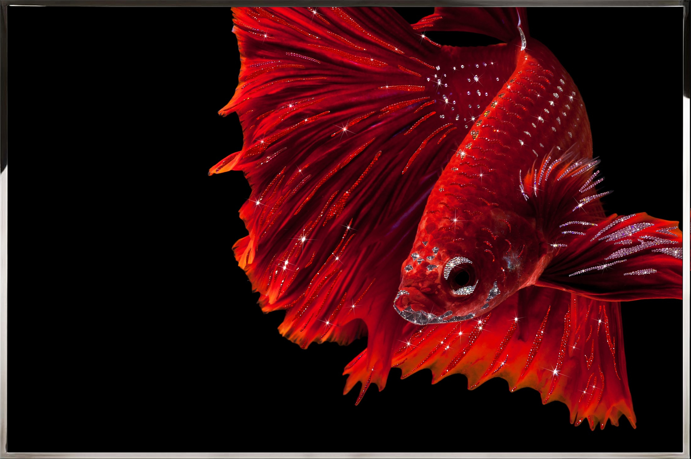 Video preview of Crimson Sovereign luxury wall art showcasing Swarovski crystals and handcrafted details.