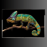 Denkyem luxury Swarovski crystal wall art featuring a handcrafted jeweled chameleon on black background