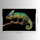 Denkyem Swarovski crystal wall art dimensions showing 180cm width and 120cm height framed artwork