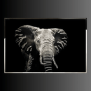 Fortuna luxury crystal elephant wall art with Swarovski crystals in stainless steel frame on black background.