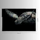 Gaia Swarovski crystal wall art dimensions 180 × 120 cm large luxury sea turtle wall artwork