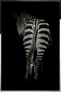 Portrait-view zebra artwork with sparkling Swarovski crystal stripes against a black background and silver frame.