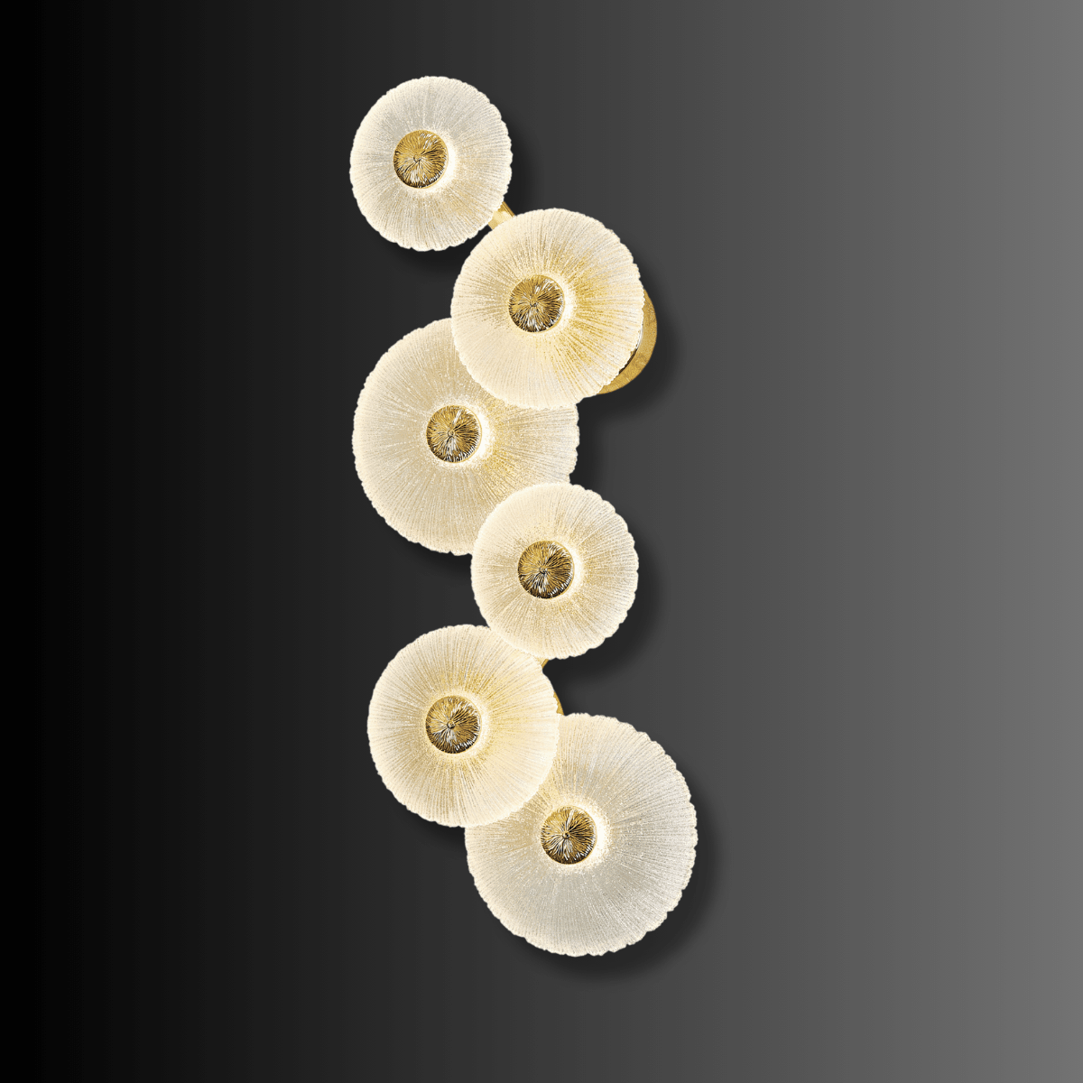 Modernus Amoria