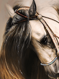 Close-up of flowing horse mane with hand-applied Swarovski crystals in Noble Mane artwork