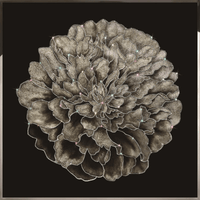 Close-up of Ortensia wall art showing Swarovski Xirius crystals, natural shell texture and handcrafted detailing