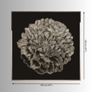 Ortensia collectible wall art shown with dimensions 120 cm(47") by 120(47") cm for scale and interior planning