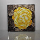 Video showing reflective Swarovski crystal floral wall sculpture under changing light conditions.