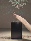 Video showing Swarovski crystal peacock sculpture shimmering under light from multiple angles.