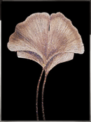 Close-up of Silent Bloom showcasing hand-set Swarovski crystals on sculpted shell and stone surface.